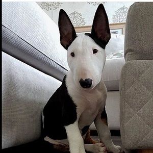 Meet your Posher, Michel